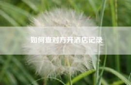 如何查对方开酒店记录