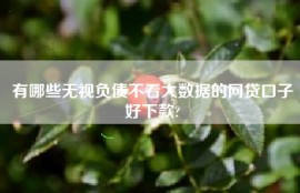 有哪些无视负债不看大数据的网贷口子好下款?