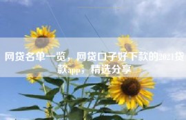 网贷名单一览，网贷口子好下款的2021贷款app，精选分享