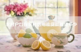 农村户口在农村信用社贷款能贷多少