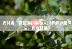支付宝、微信支付被卷入拼多多涉赌风波。到底怪谁？