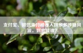 支付宝、微信支付被卷入拼多多涉赌风波。到底怪谁？