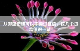 从哪里借钱可以不通过征信，这几个贷款值得一试！