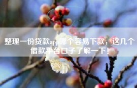 整理一份贷款app哪个容易下款，这几个借款平台口子了解一下！