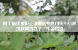 网上借钱被拒，试试这些急用钱的小额贷款网贷口子，不容错过