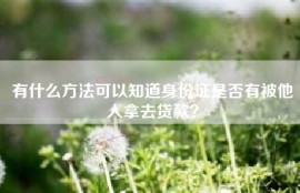 有什么方法可以知道身份证是否有被他人拿去贷款？