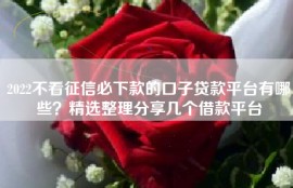 2022不看征信必下款的口子贷款平台有哪些？精选整理分享几个借款平台