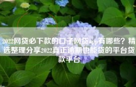 2022网贷必下款的口子网贷app有哪些？精选整理分享2022真正逾期也能贷的平台贷款平台