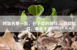 网贷名单一览，包下款的借钱app借款软件，拿走不谢