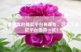 安全可靠的借款平台有哪些，这几个贷款平台值得一试！