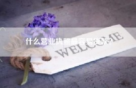 什么营业执照最容易贷款？