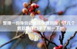 整理一份身份证借钱快速到账，这几个借款软件口子了解一下！