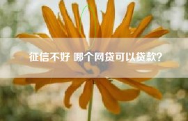 征信不好 哪个网贷可以贷款？
