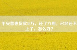 平安普惠贷款30万，还了六期，已经还不上了，怎么办？