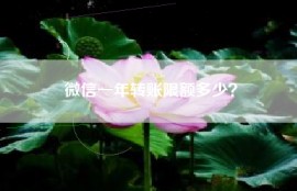 微信一年转账限额多少？
