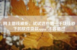网上借钱被拒，试试这些借一千块钱秒下的软件贷款app，不容错过