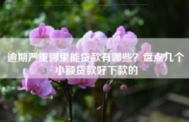 逾期严重哪里能贷款有哪些？盘点几个小额贷款好下款的