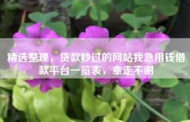 精选整理，贷款秒过的网站我急用钱借款平台一览表，拿走不谢