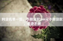 网贷名单一览，小额贷款3000元小额贷款，拿走不谢
