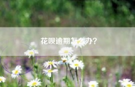 花呗逾期怎么办？