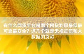 有什么网贷平台是哪个网贷利息最低最可靠最安全？这几个就是无视征信和大数据的贷款