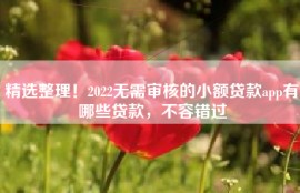 精选整理！2022无需审核的小额贷款app有哪些贷款，不容错过