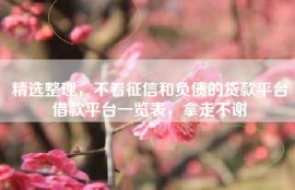 精选整理，不看征信和负债的贷款平台借款平台一览表，拿走不谢