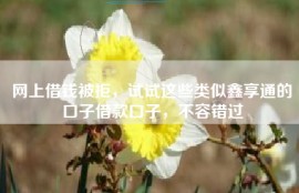 网上借钱被拒，试试这些类似鑫享通的口子借款口子，不容错过