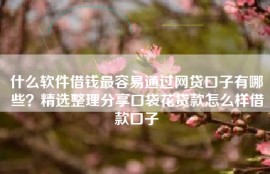 什么软件借钱最容易通过网贷口子有哪些？精选整理分享口袋花贷款怎么样借款口子