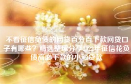 不看征信负债的网贷百分百下款网贷口子有哪些？精选整理分享2022年征信花负债高必下款的小额贷款