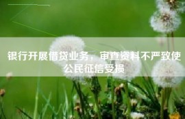 银行开展借贷业务，审查资料不严致使公民征信受损