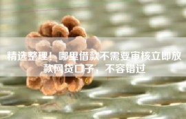 精选整理！哪里借款不需要审核立即放款网贷口子，不容错过