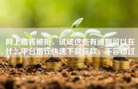 网上借钱被拒，试试这些有逾期可以在什么平台借钱快速下款贷款，不容错过