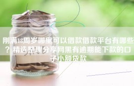 刚满18周岁哪里可以借款借款平台有哪些？精选整理分享网黑有逾期能下款的口子小额贷款