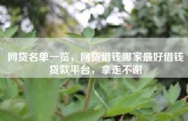 网贷名单一览，网贷借钱哪家最好借钱贷款平台，拿走不谢