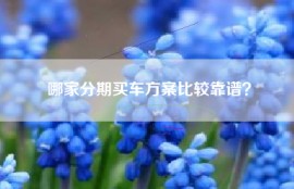 哪家分期买车方案比较靠谱？