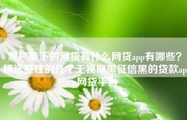黑户能下的网贷有什么网贷app有哪些？精选整理的几个无视网黑征信黑的贷款app网贷平台