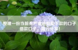 整理一份当前有严重逾期能下款的口子借款口子，简云分享！