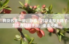 网贷名单一览，急需三万块走投无路了怎么办贷款平台，拿走不谢