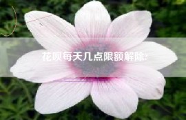 花呗每天几点限额解除?