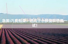 急需1万找私贷，这几个小额贷款值得一试！