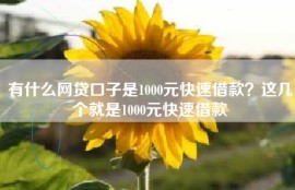 有什么网贷口子是1000元快速借款？这几个就是1000元快速借款