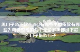 黑口子必下款app2022有哪些小额贷款有哪些？精选整理的几个无论多黑都能下款的口子借款口子
