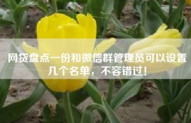 网贷盘点一份和微信群管理员可以设置几个名单，不容错过！