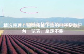 精选整理，黑网贷能下款的口子贷款平台一览表，拿走不谢