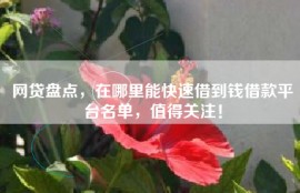 网贷盘点，在哪里能快速借到钱借款平台名单，值得关注！