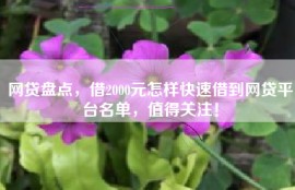 网贷盘点，借2000元怎样快速借到网贷平台名单，值得关注！