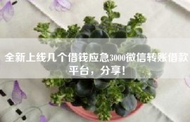 全新上线几个借钱应急3000微信转账借款平台，分享！