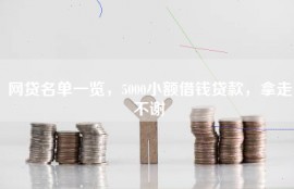 网贷名单一览，5000小额借钱贷款，拿走不谢