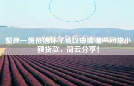 整理一份征信坏了可以申请哪些网贷小额贷款，简云分享！